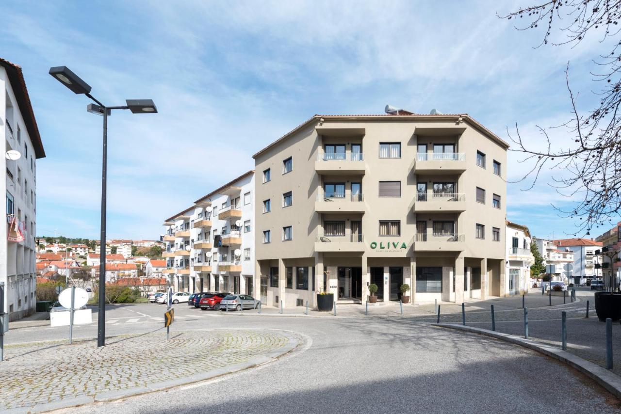 Oliva Welcoming Apartments Proenca-a-Nova Exterior photo